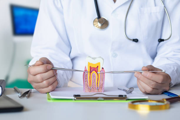 Best Tooth Pain Emergency Relief  in Steubenville, OH